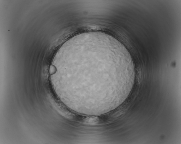 X0000114590410200911301404