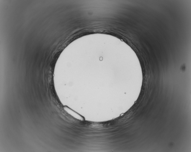 X0000114590413200911301404