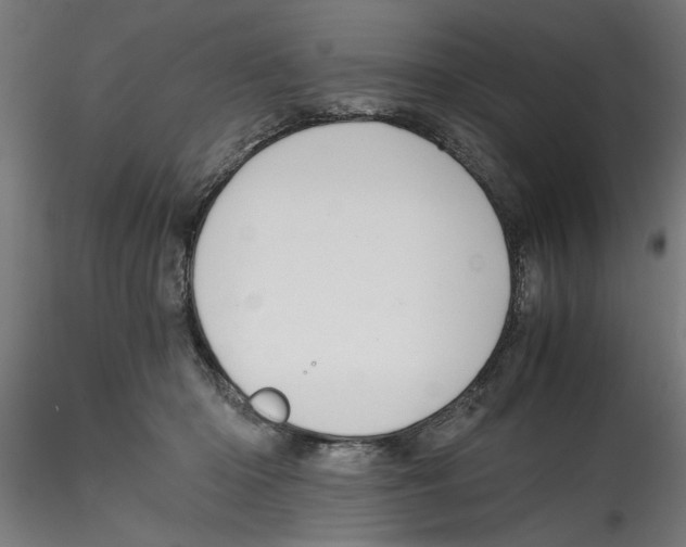 X0000114590414200911301404