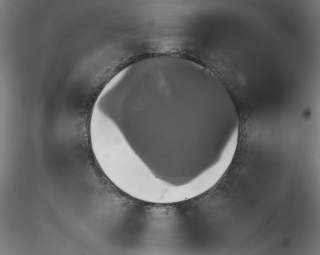 X0000114590415200911301404