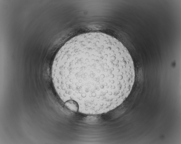 X0000114590418200911301404