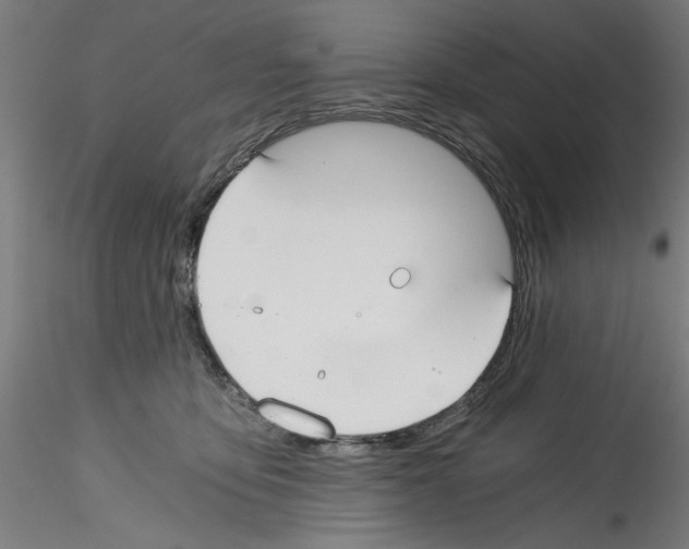 X0000114590419200911301404