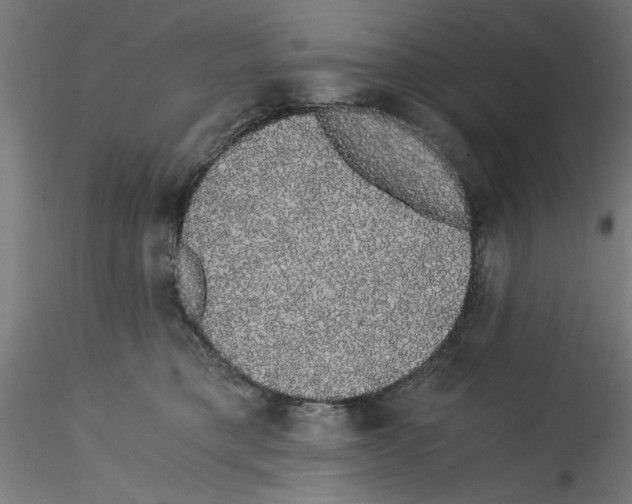 X0000114590421200911301404