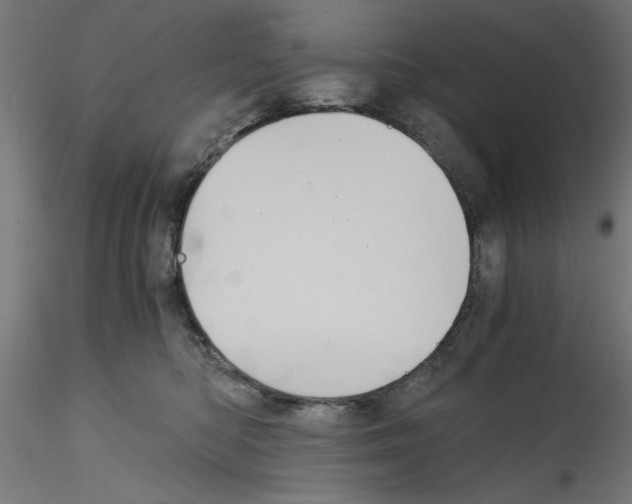 X0000114590422200911301404