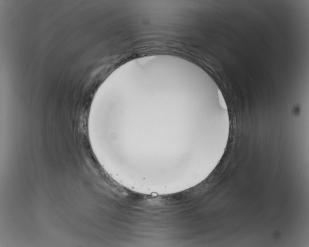 X0000114590423200911301404