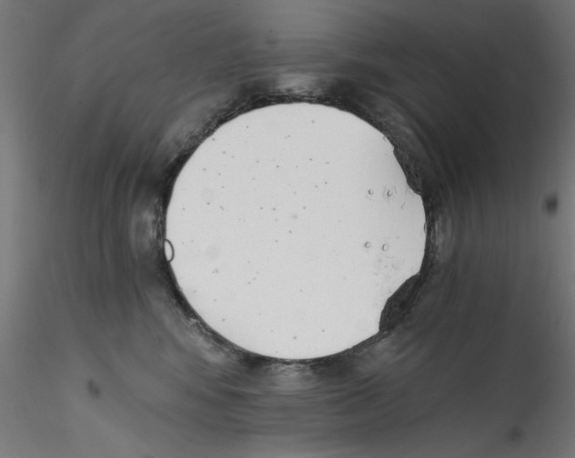 X0000114590424200911301404