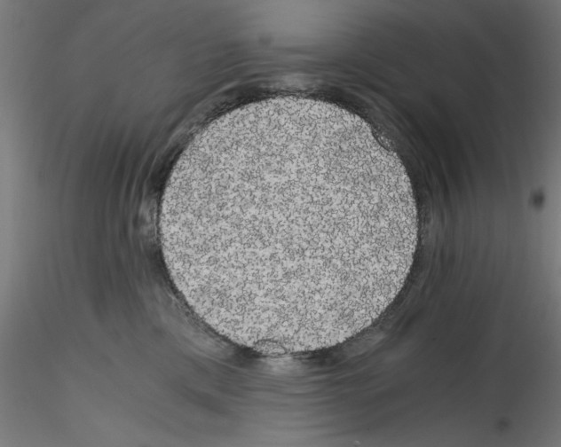 X0000114590425200911301404