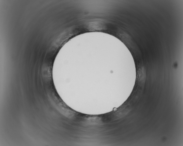 X0000114590426200911301404