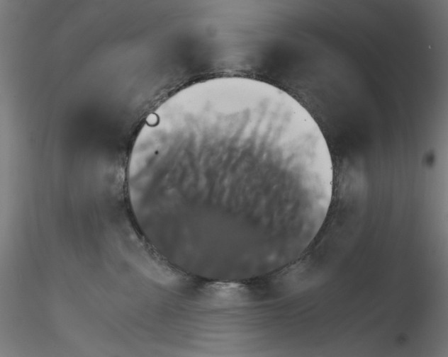 X0000114590427200911301404