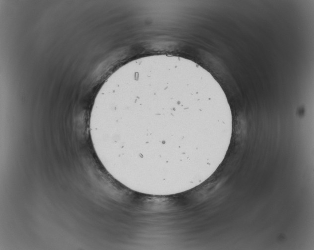 X0000114590428200911301404