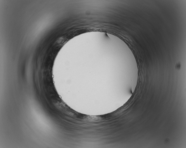 X0000114590429200911301404