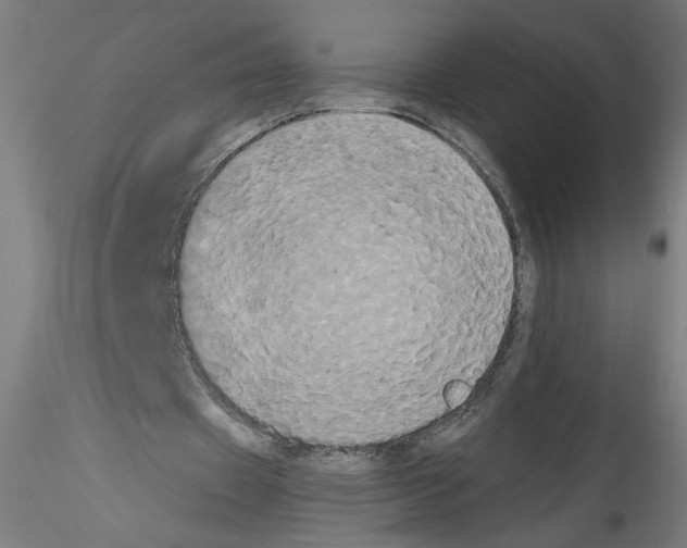 X0000114590433200911301403