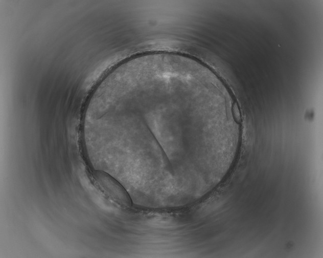 X0000114590434200911301403