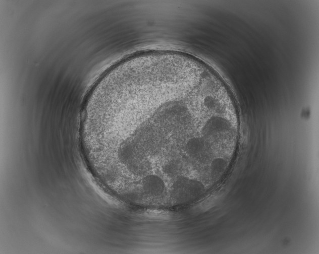 X0000114590437200911301403