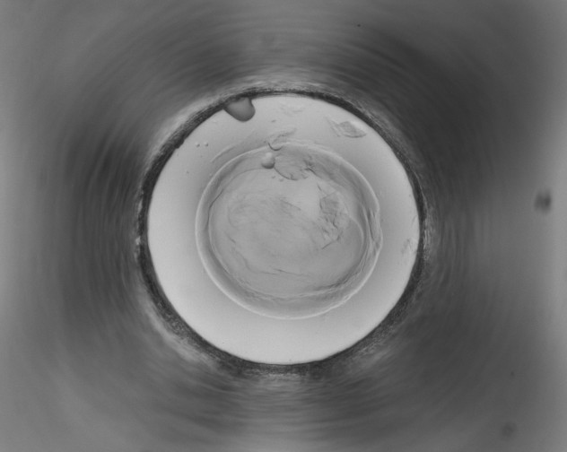 X0000114590438200911301403