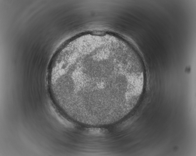 X0000114590439200911301403