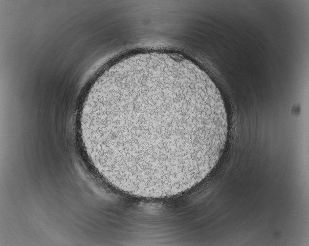 X0000114590440200911301403