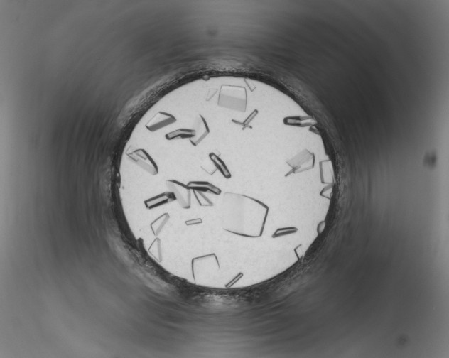 X0000114590442200911301403