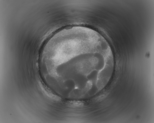 X0000114590443200911301403