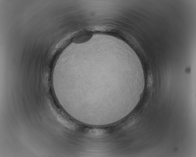 X0000114590444200911301403