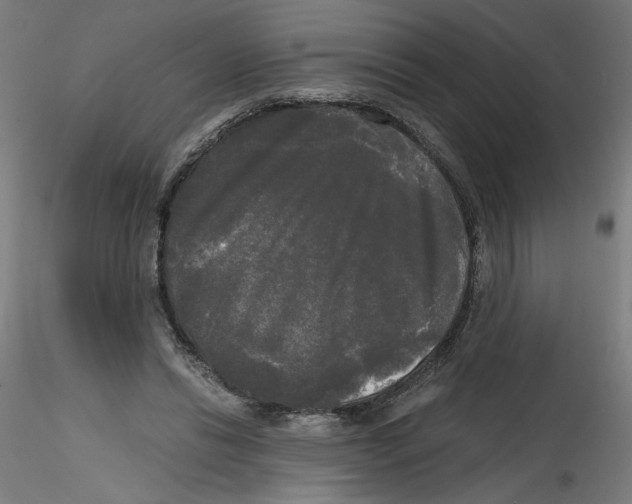X0000114590446200911301403