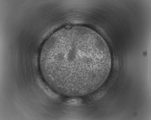 X0000114590447200911301403