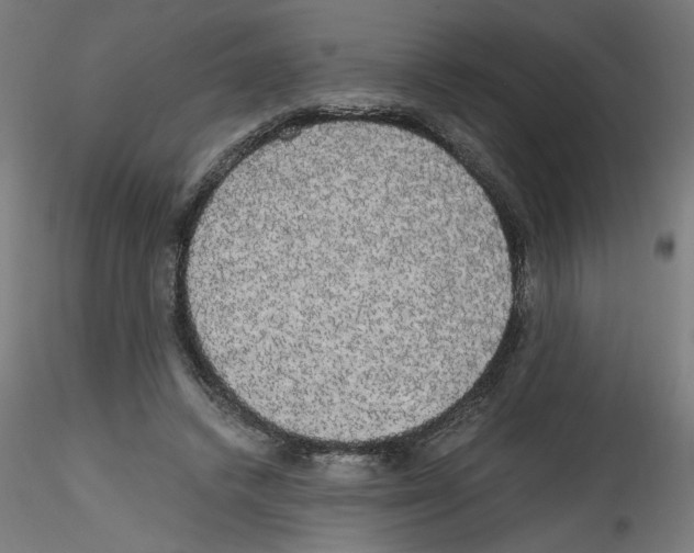 X0000114590448200911301403