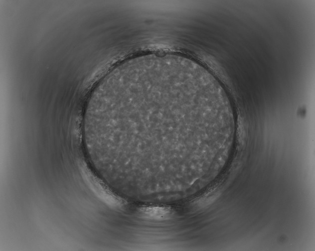 X0000114590449200911301403