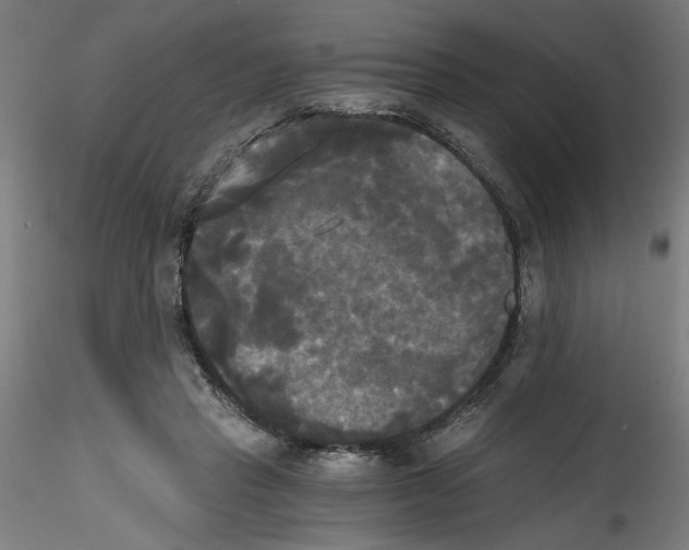 X0000114590453200911301404