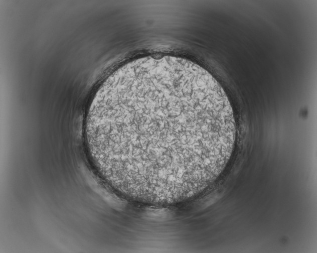X0000114590454200911301404