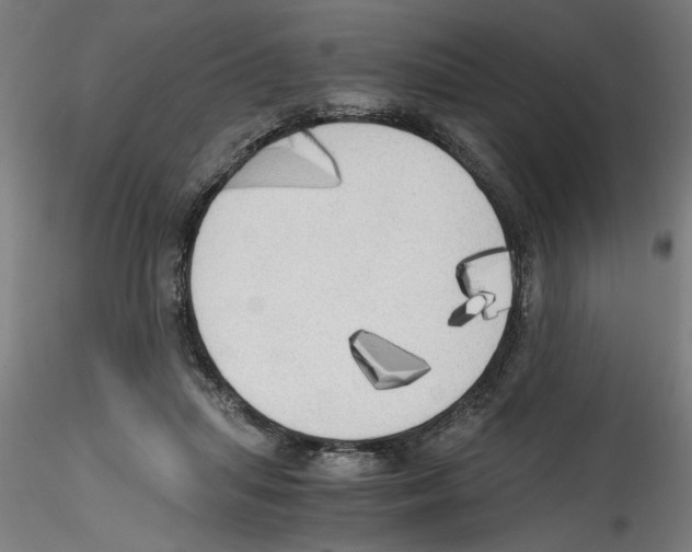 X0000114590455200911301404