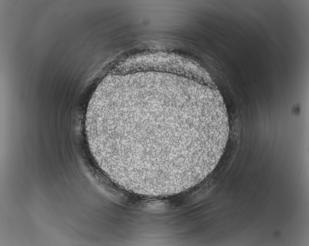 X0000114590456200911301404
