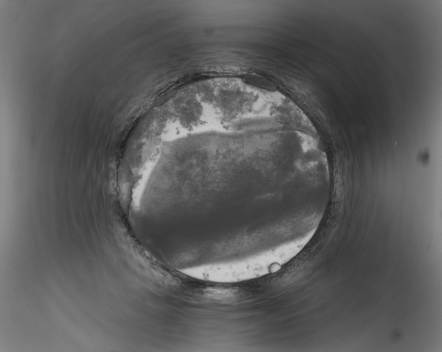 X0000114590457200911301404