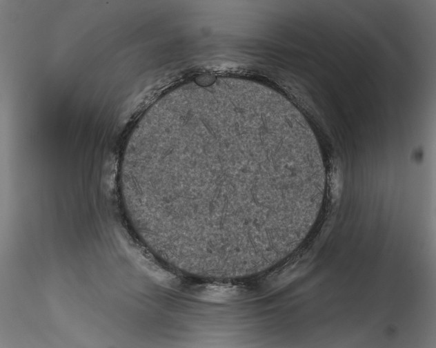 X0000114590458200911301404