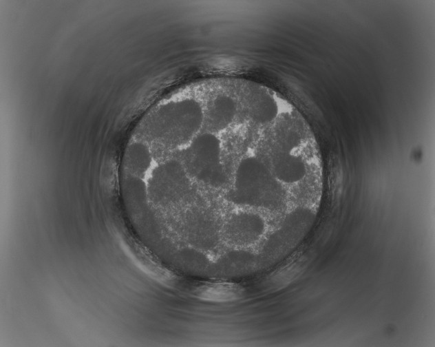 X0000114590459200911301404