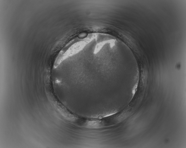 X0000114590461200911301404
