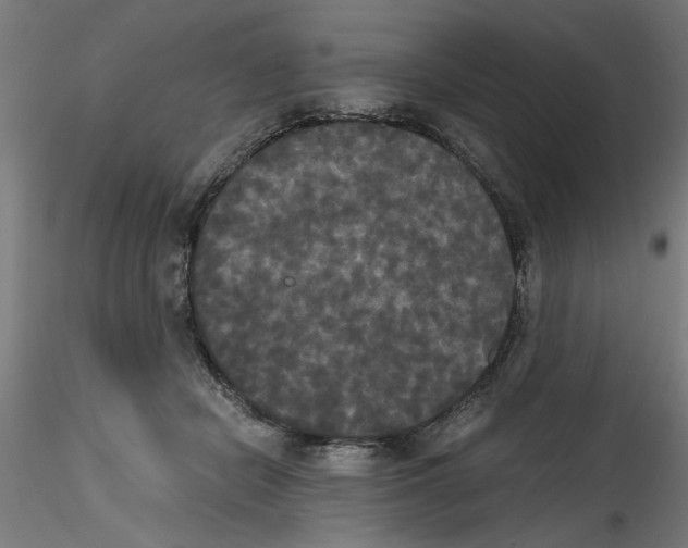 X0000114590462200911301404