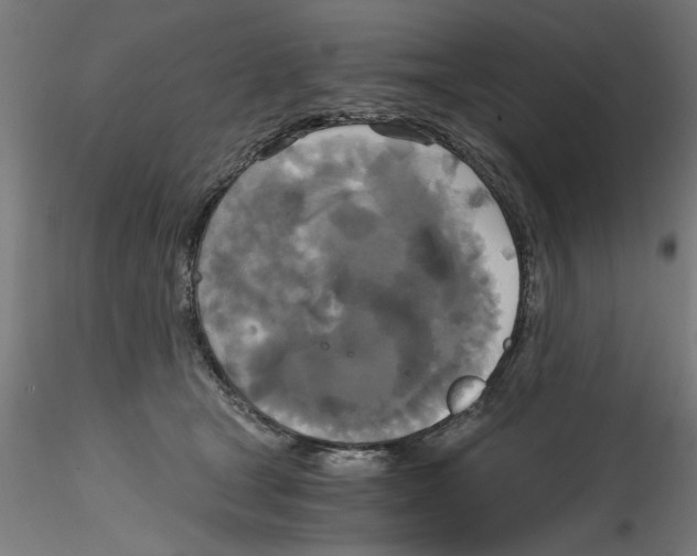X0000114590465200911301404