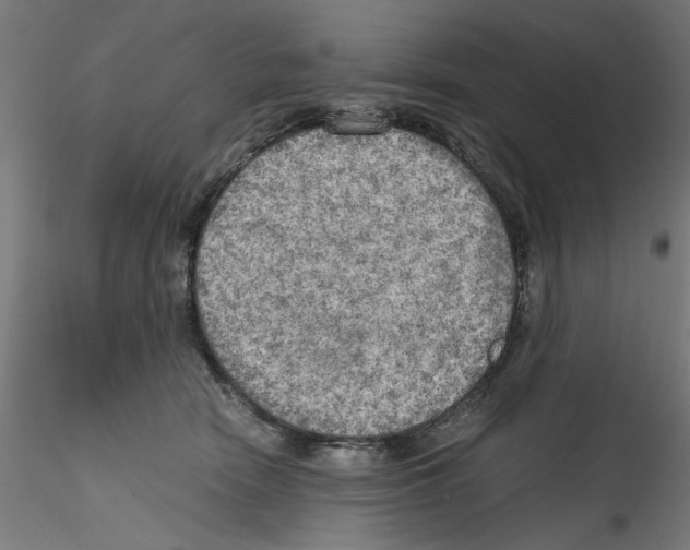 X0000114590466200911301404