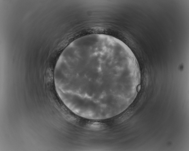 X0000114590467200911301404