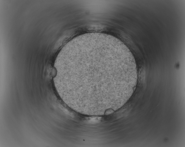 X0000114590474200911301404