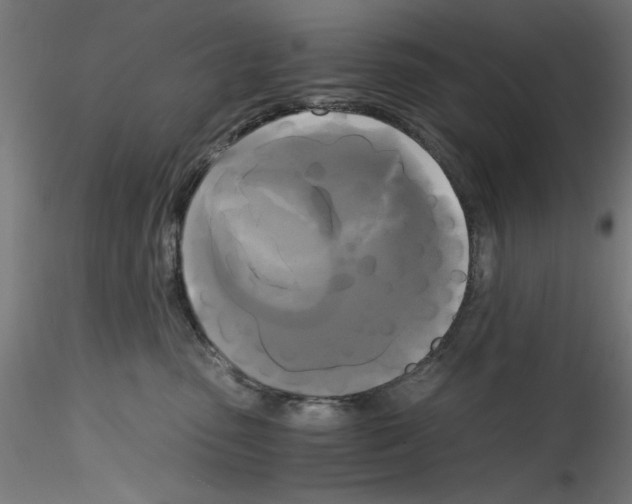 X0000114590475200911301404