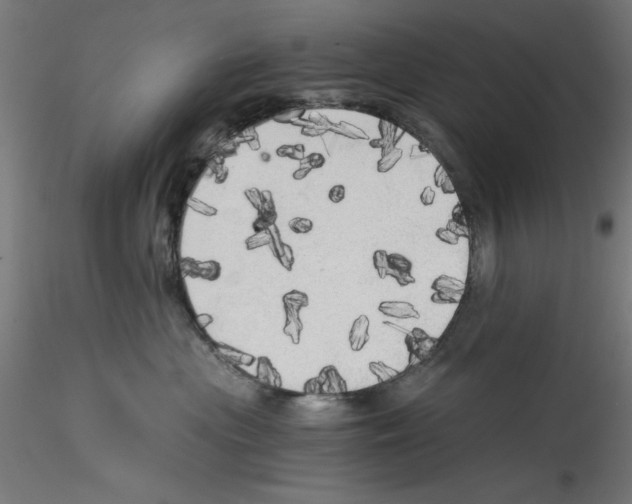 X0000114590477200911301404