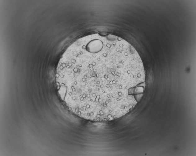 X0000114590478200911301404