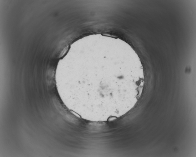X0000114590480200911301404