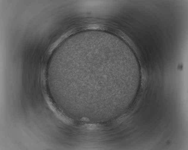 X0000114590482200911301403