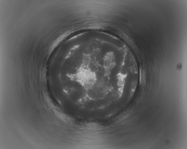 X0000114590483200911301403
