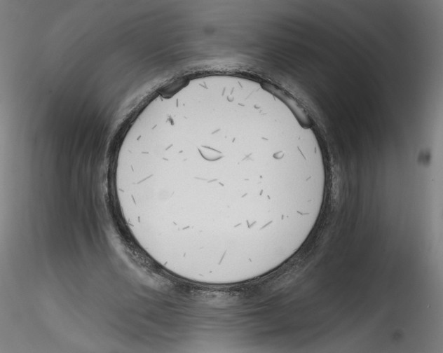 X0000114590486200911301403