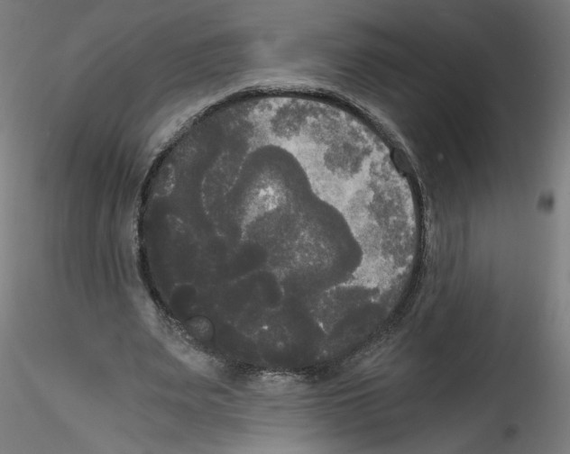 X0000114590487200911301403