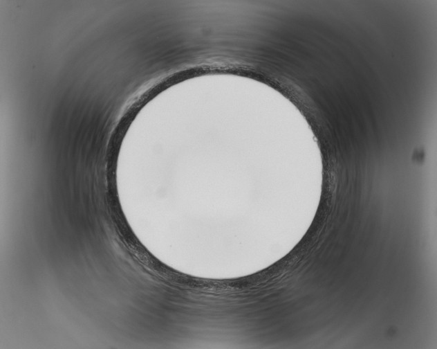 X0000114590488200911301403